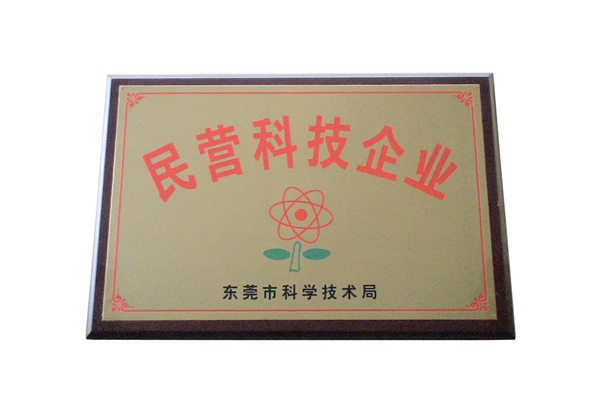 民營科技企業(yè)